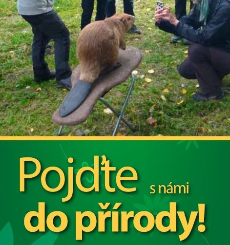 Brožura Českého lesa.