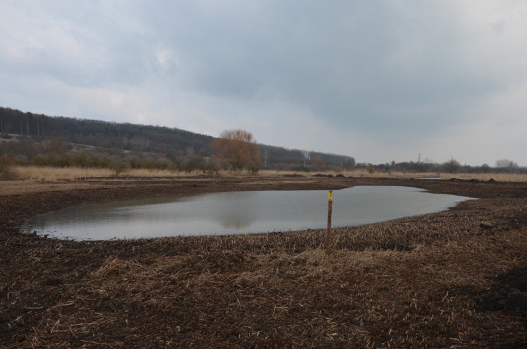 Žehuňský rybník nyní patří ptákům, na podzim se vrátí bagry