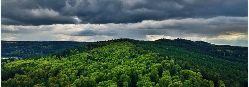 Přírodní rezervace Koníček - nové maloplošné chráněné území v CHKO Brdy