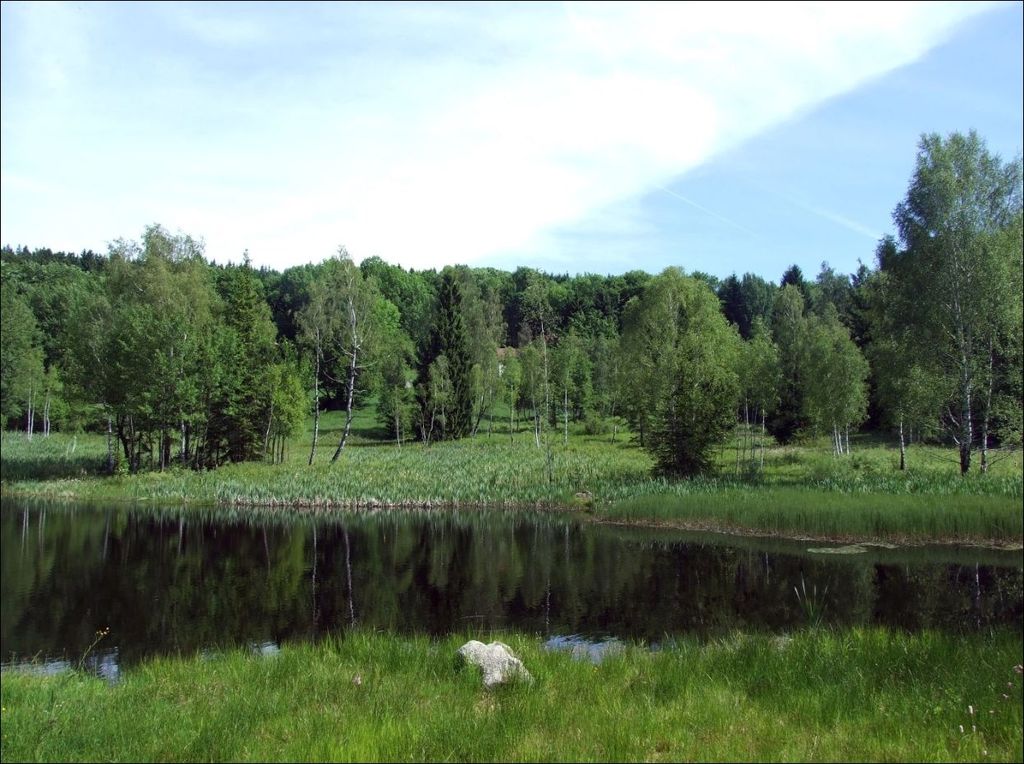 Maxovský rybník s cenným břehovým porostem (autor snímku: Tomáš Korytář)