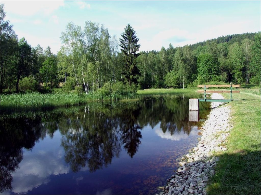 Rybník Křísák v Horních Lučanech (autor snímku: Tomáš Korytář)
