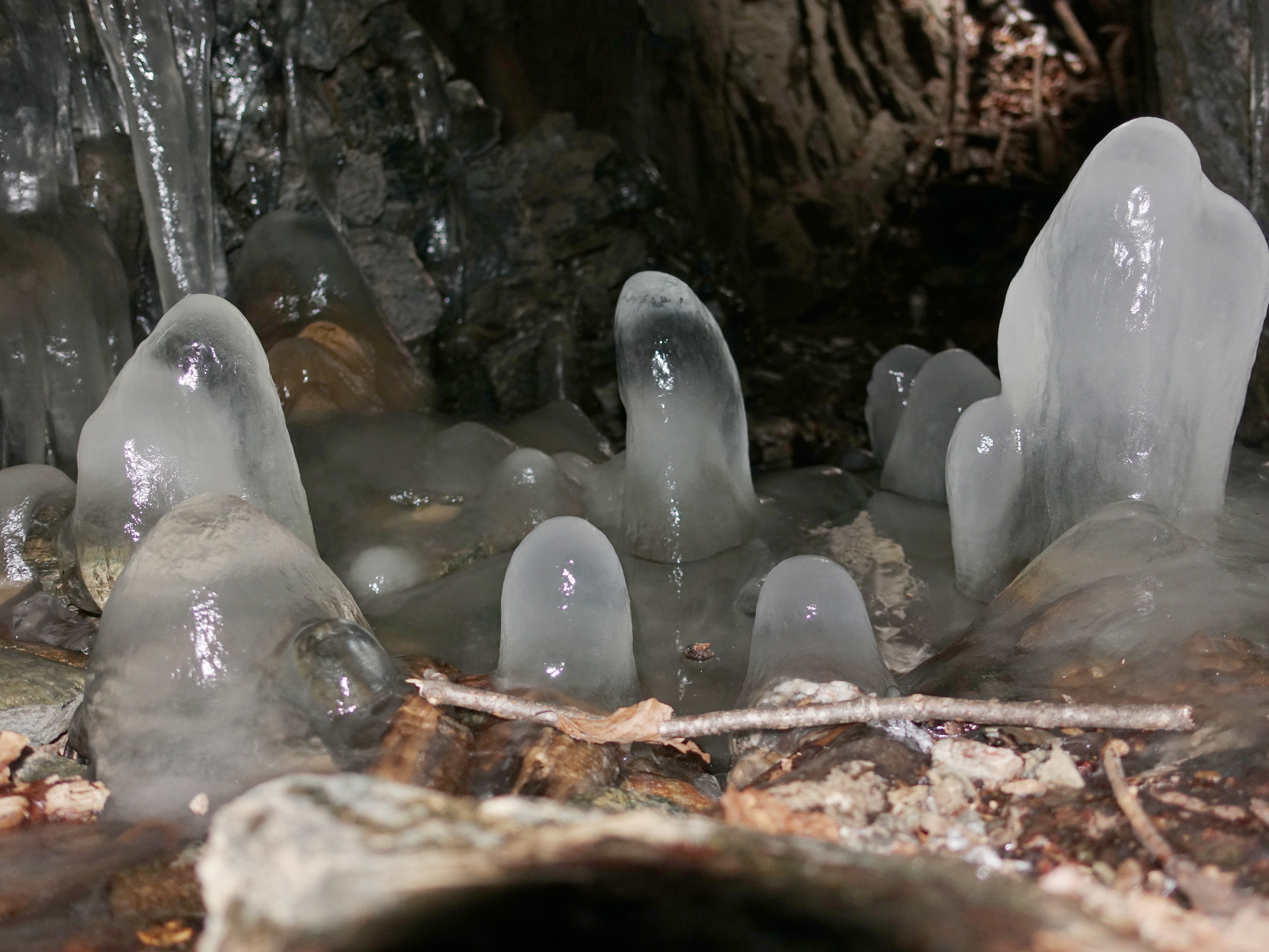 Ledouchy v jeskyni.